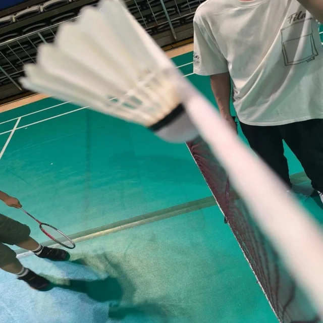 世界杯开赛在即各强队备战动态全解析